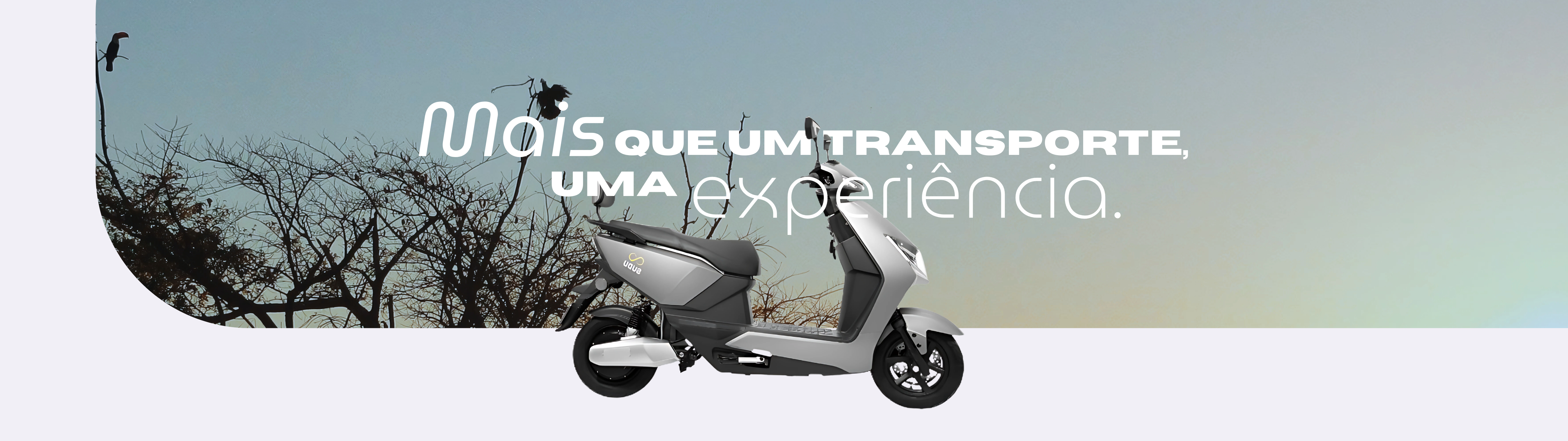 Nova Bicicleta Elétrica 2024