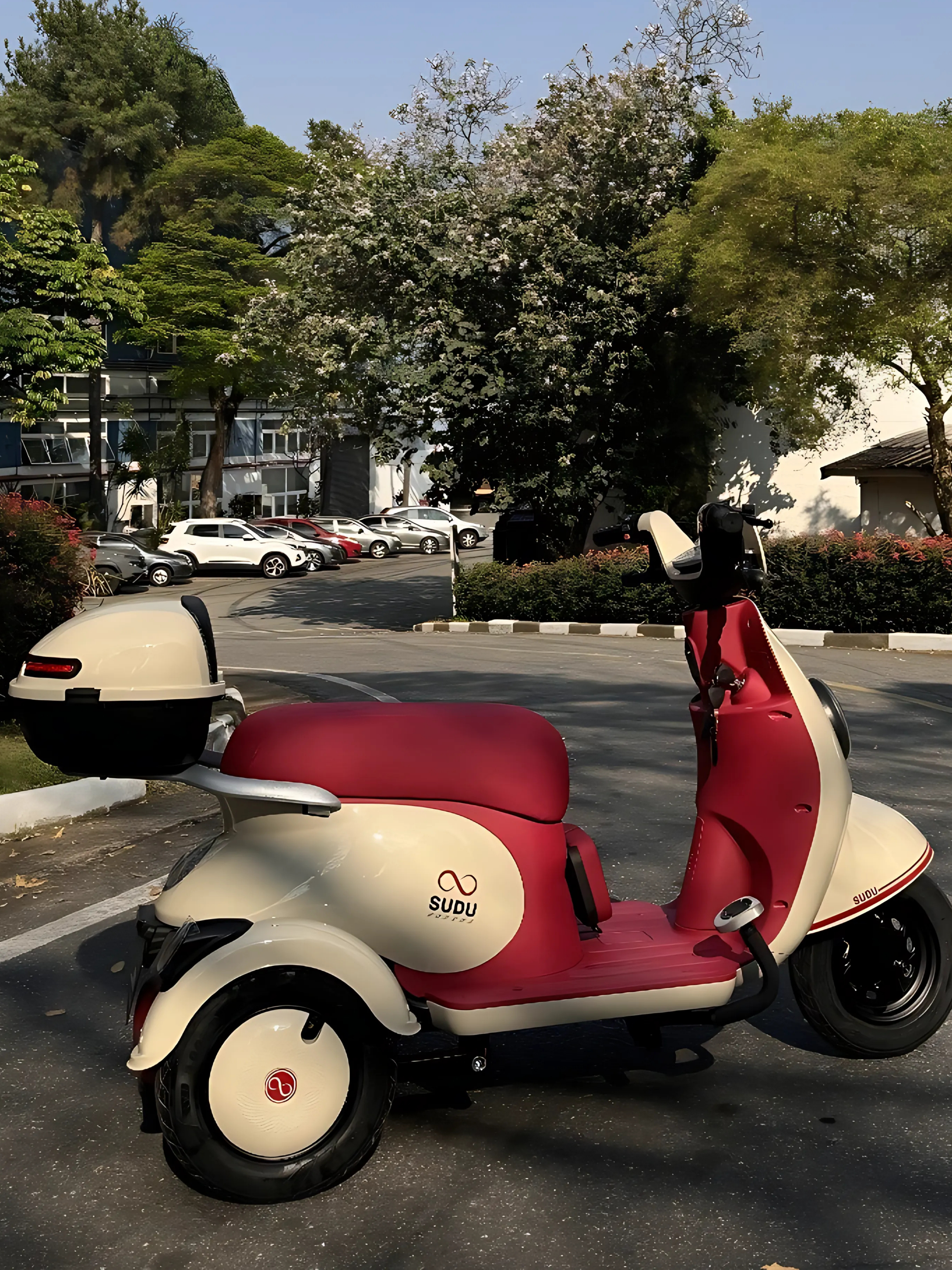 Triciclo SUDU - 1000w